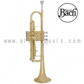 Bach Mod. BTR301/TR300H2 Trompeta...